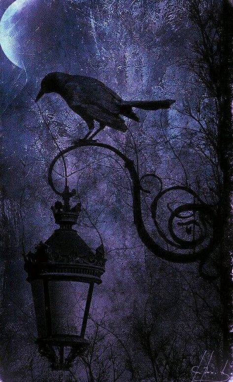 Gothic Painting Ideas, Candle In The Dark, Whatsapp Wallpaper Cute, Goth Wallpaper, Gothic Wallpaper, Witchy Wallpaper, Crows Ravens, Goth Art, Gothic Aesthetic