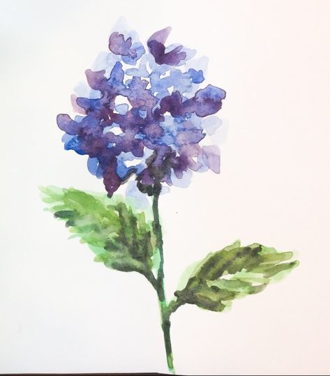 Violin Painting, 7th Grade Art, Teacher Art, Daily Doodle, Hydrangea Painting, Watercolor Flowers Tutorial, Watercolor Paintings For Beginners, Rose Drawing, Easy Canvas Painting