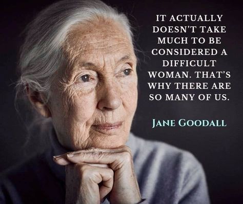 "It actually doesn't take much to be considered a difficult woman. That's why there are so many of us." Jane Goodall Jane Goodall Quotes, Jane Goodall, Historical Quotes, Strong Women Quotes, Quotes By Famous People, People Quotes, Quotable Quotes, Wise Quotes, Inspirational Women