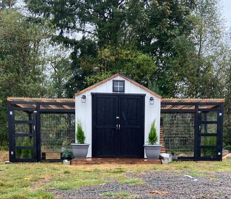 Big Chicken Coop Designs, Green House With Chicken Coop, Chicken Coop Farmhouse Style, Chicken Coop In Garden Ideas, Spanish Style Chicken Coop, Chicken Coop With Double Run, Shed For Chicken Coop, L Shaped Chicken Coop, Chicken Coops Made From Sheds