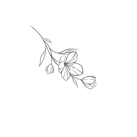 Minimal Flower Drawing, Single Flower Tattoo, Minimal Flower Tattoo, Sakura Drawing, E Tattoos, Small Back Tattoos, Sakura Tattoo, Infinity Tattoo Designs, Turtle Tattoo Designs