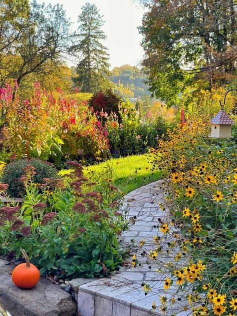 Fall Garden Prep, Sedum Autumn Joy, Beautiful Garden Ideas, Messy Garden, Garden Prepping, Hydrangea Care, Planting Hydrangeas, Garden Help, Cut Flower Garden