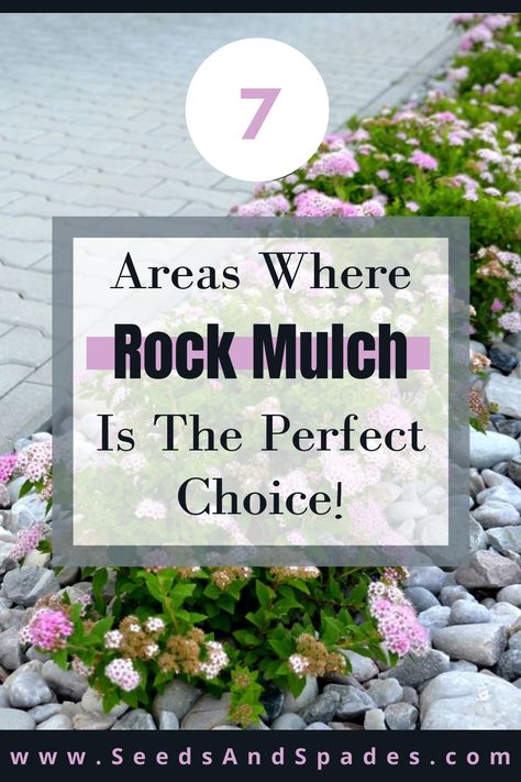 Mulch Alternatives, Rock Edging, Rock Mulch, Mulch Around Trees, Rock Flower Beds, Stone Flower Beds, Tree Mulch, Landscaping Rock, Mulch Landscaping