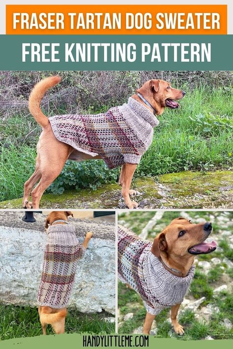 Fraser Tartan Dog Sweater Pattern - Handy Little Me Big Dog Sweaters, Coat Knitting Pattern, Knitted Dog Sweater, Sweater Free Pattern, Knitted Dog Sweater Pattern, Fraser Tartan, Dog Coat Pattern, Knitting Abbreviations, Dog Sweater Pattern