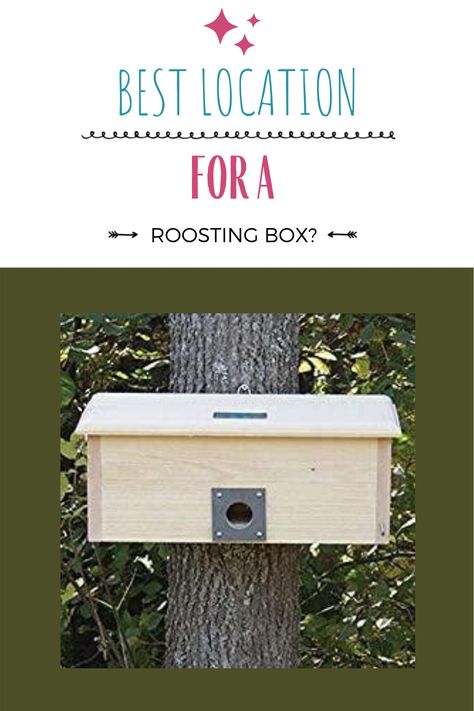 Winter Wild Bird Shelter, Bird Roosting Boxes, Bird Roosting Boxes Diy, Winter Bird Houses Diy, Diy Bird Nesting Box Ideas, Bird Shelters For Winter Diy, Bird Shelters For Winter, Roosting Boxes For Birds, Nesting Boxes Diy