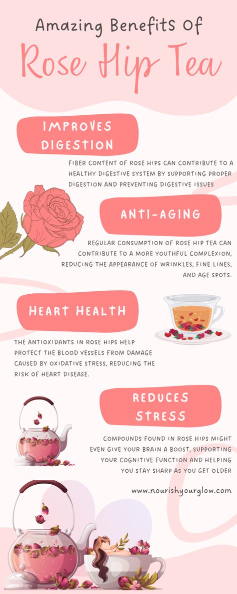 Benefits Of Rosehip Tea, Blackberry Tea Benefits, Roiboos Tea Benefits, Benefits Of Rose Tea, Rose Hips Tea Benefits, Rose Hip Benefits, How To Make Rose Tea, Roobois Tea Benefits, Rosehips Benefits