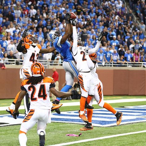 Via @Gail Wrigley Waldrip: "Credit goes to Taylor Hurley (@Tay_Hollywood) for this photo of this awesome @Bigplaycj TD catch." Brandon Marshall, Calvin Johnson, 3 Man, Lions Football, High Jump, Football Pictures, Wide Receiver, Football Wallpaper, Detroit Lions