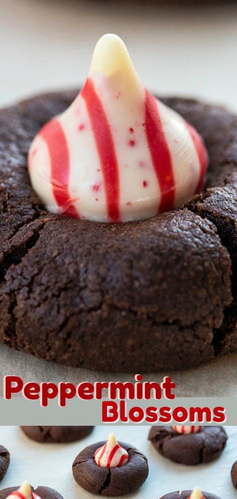 Peppermint Blossoms, Peppermint Kisses, Pinterest Cookies, Kiss Cookie Recipe, Chocolate Kiss Cookies, White Chocolate Peppermint, Chocolate Peppermint Cookies, Kiss Cookies, Blossom Cookies