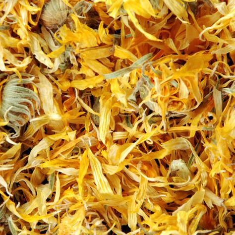 Calendula Flowers Organic Dried Herb by CottageBotanicalFarm www.cottagebotani... @CottBotanicals #CottageBotanicals Dried Calendula, Rice Desserts, Calendula Flowers, Beauty Ingredients, Calendula Officinalis, Orange Tea, Calendula Flower, Poor Man, Egg Dishes