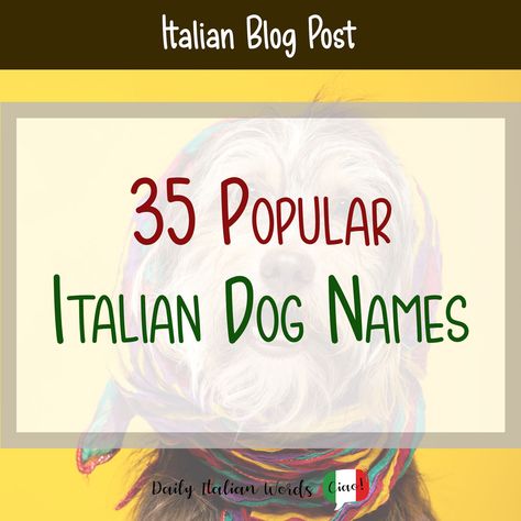 35 Popular Italian Dog Names - Daily Italian Words Italian Dog Names, Italian Girl Names, Italian Dogs, Rich Dog, Boy Dog Names, Anthony Smith, Italian Boys, Name Game, Classic Names