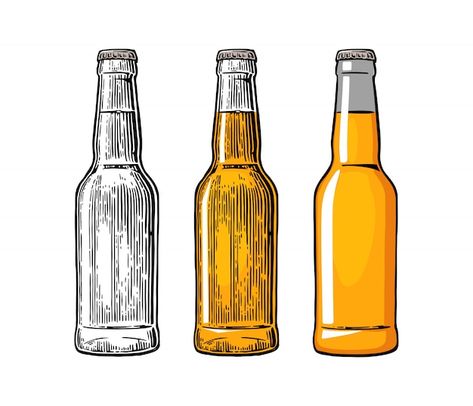 Beer Bottle Drawing, Rose Outline Drawing, Beer Drawing, Modelo Beer, Greeting Card Storage, Beer Illustration, Bottle Drawing, Flat Vector Illustration, Outline Drawings