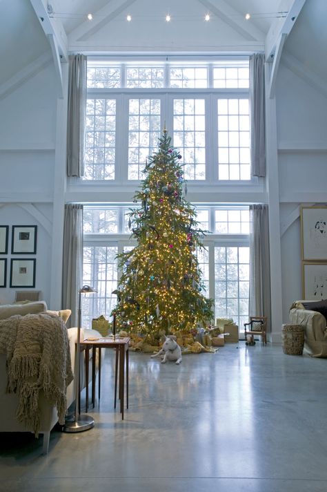 This was our first Christmas tree at our new home in 2011. The tree was 15 ft and a joy to decorate. That's Olive in the foreground. Two Story Christmas Tree, 2 Story Christmas Tree, Tall Ceiling Living Room Christmas Tree, Christmas Tree Room Layout, Crismas Home Decor, Gorgeous Christmas Trees Living Rooms, Christmas Tree 12 Ft, Christmas Tree In Big House, High Ceiling Living Room Christmas Tree