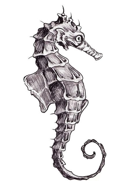 realistic seahorse drawing - Google Search | Poster design ... Draw Seahorse, Seahorse Tattoo Design, Seahorse Drawing, Seahorse Tattoo, Seahorse Art, Seni Pastel, Desen Realist, Drawing Eyes, Drawing Hair