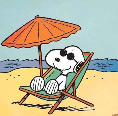 Woodstock Snoopy, Snoopy Cartoon, Vintage Cartoons, Snoopy Images, Peanuts Cartoon, Snoopy Wallpaper, Snoopy Quotes, Snoopy Pictures, Snoop Dog