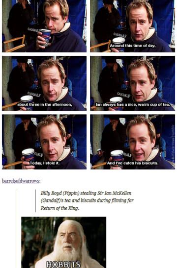 Lord Of The Rings Tumblr, Lord Of The Rings Funny, Funny Behind The Scenes, Funny Lord Of The Rings, Billy Boyd, Earth Memes, Lotr Funny, Great Memes, Original Trilogy