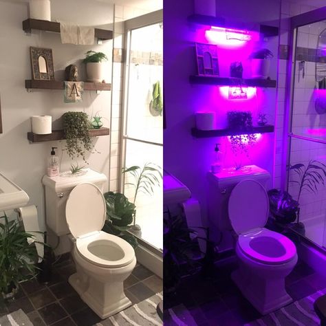 Bathrooom Lights, Neon Bathroom, Sf Apartment, First Apartment Decorating, Chill Room, Neon Room, Restroom Decor, Aesthetic Bathroom, Future Apartment Decor