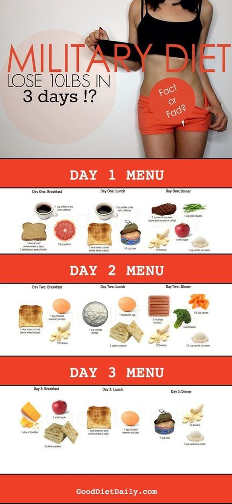 — fitnessforevertips: Get fit & stay fit! Muscle Gain Workout, Weight Gain Diet, Balanced Diet Plan, 3 Week Diet, Fat Loss Diet Plan, Calorie Calculator, Makanan Diet, Diet Vegetarian, Fat Loss Diet