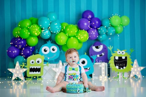 Monster cake smash party - Rachel Peace Photography Sesame Street Cake Smash, Sesame Street Stuffed Animals, Monster Smash Cakes, Backdrop Garland, Monster Balloons, Arch Photography, Monster Inc Cakes, Monster First Birthday, Cake Smash Inspiration