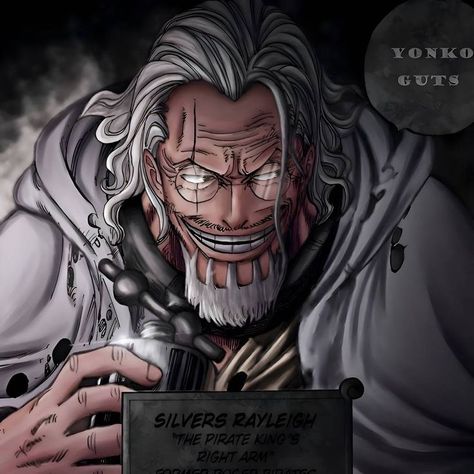 Dark King Silvers Rayleigh, Rayleigh One Piece, Silvers Rayleigh, Film Jurassic World, Silver One Piece, Dark King, One Piece Aesthetic, Texting Story, One Piece Games