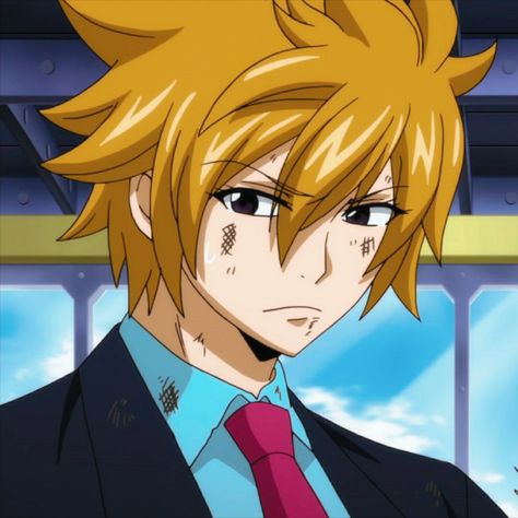 Fairy Tail Leo Loki, Fairy Tail Hibiki, Leo Fairy Tail, Loki Fairy Tail, Loke Fairy Tail, Fairy Tail Icons, Anime Crush, Fairy Tail Family, Famous Fairies