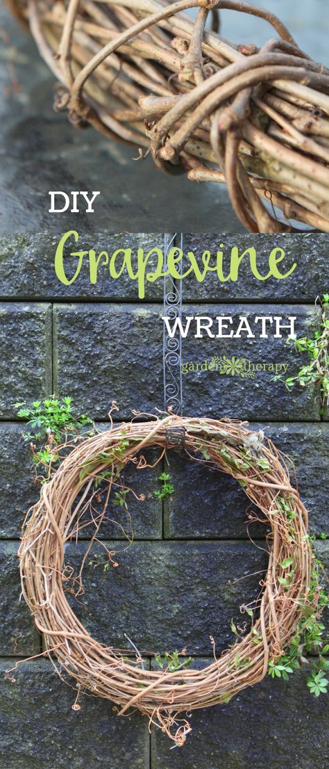 How to Make a Grapevine Wreath Diy Grapevine Wreath, Living Wreath, Wrapping Techniques, Pool Steps, Diy Spring Wreath, Wood Wreath, Vine Wreath, Twig Wreath, Diy Fall Wreath