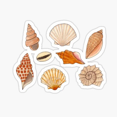 Seashells On The Beach, Seashell Drawing, Summer Stickers, Mermaid Sticker, Sketchbook Cover, Cute Laptop Stickers, Purple Mermaid, Summer Scrapbook, Stickers Printable