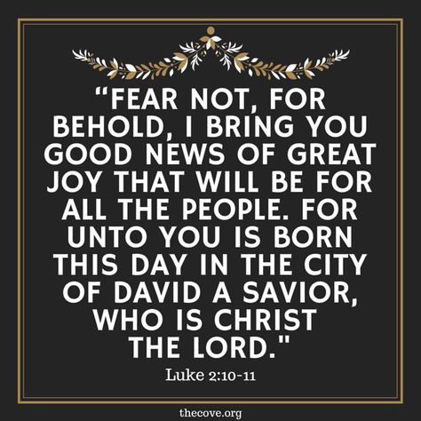 Fear not.  Good news.  A savior is born. Luke 2:10-11, Luke 2:10-11 Christmas, Luke 2:11, A Savior Is Born, Luke 2 10, Luke 2 11, Luke 2, Billy Graham, Words Of Comfort