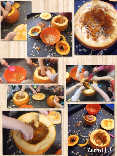 Pumpkin seed collecting from Rachel (",) Pumpkin Tuff Tray Ideas, Pumpkin Tuff Tray, Eyfs Halloween, Eyfs Autumn, Autumn Eyfs Activities, Seed Collecting, Early Years Activities, Autumn Eyfs, Pumpkin Guts