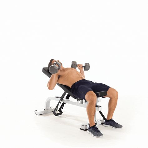 inclinedumbbellbenchpress.gif 1,000×1,000 pixels Incline Dumbbell Press, Incline Bench Press, Body Muscle Anatomy, Barbell Press, Best Chest Workout, Incline Bench, Chest Fly, Pectoral Muscles, Dumbbell Press