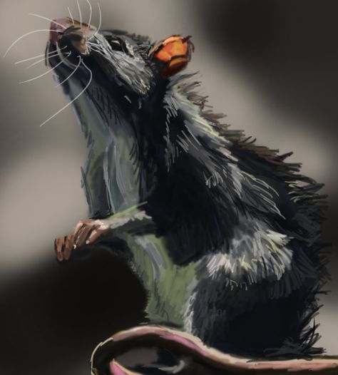 Rat Speed Painting by Inari123 Rattus Rattus, Stop Being Lazy, Being Lazy, Speed Painting, Pet Mice, A Rat, Cute Rats, Pet Rats, Speed Paint