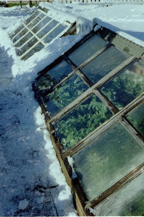 Greenhouse Heating. Part 1: Power Source Choices - by Roger Marshall Greenhouse In Winter, Greenhouse Heating, Underground Garden, Heating A Greenhouse, Home Greenhouse, Herbs And Flowers, Permaculture Gardening, Greenhouse Plans, Diy Greenhouse