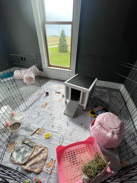 Amazon.com : MidWest Homes for Pets Foldable Metal Dog Exercise Pen / Pet Playpen, Black w/ door, 24'W x 48'H, 1-Year Manufacturer's Warranty : Pet Playpens : Pet Supplies Pet Playpens, Cat Playpen, Pet Enclosure, Pet Playpen, Dog Playpen, Dog Exercise, 1 Year, Pet Supplies, Pen