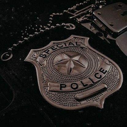 Police Aesthetic, Harvey Bullock, Female Detective, Detective Aesthetic, My Future Job, The Heist, Wynonna Earp, Police Detective, Police Badge