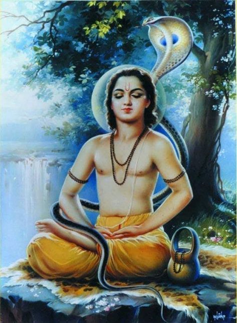 Written Poetry, Bhagavata Purana, Arte Yoga, Krishna Avatar, Indian Illustration, Indian History Facts, Spiritual Images, Shiva Parvati Images, Lord Shiva Statue