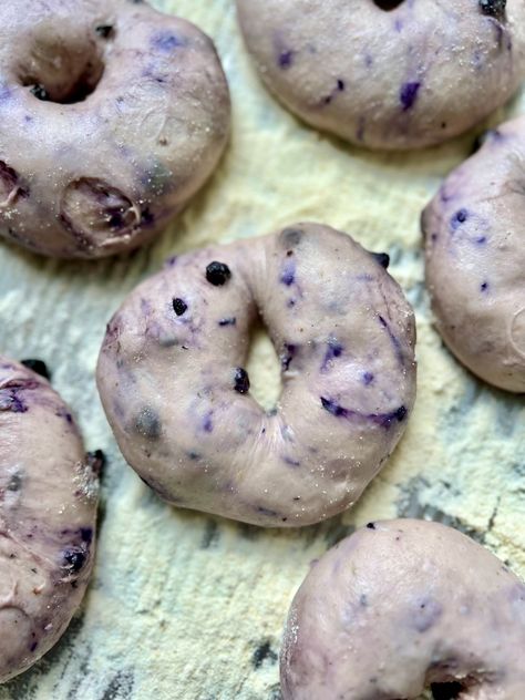 Sourdough Bagels Blueberry, Sourdough Discard Blueberry Bagels, Blueberry Sourdough Bagels, Sourdough Blueberry Bagels, Blueberry Sourdough Bread, Sourdough Bagels Recipe, Discard Bagels, Blueberry Sourdough, Blueberry Bagels