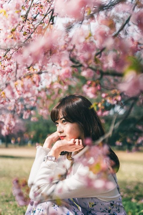 Spring Korea, Library Photo Shoot, Cherry Blossom Pictures, Japan Spring, Cherry Blossom Girl, Cherry Blossom Japan, Spring Portraits, Seoul Travel, Flower Photoshoot