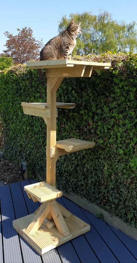 Outdoor Cat Perch, Cat Tree House Diy Ideas, Outdoor Cat Walk, Diy Outdoor Cat Tree, Outdoor Cat Tower, Cat Patio Diy, Catio For Cats, Catios For Cats Window, Cat Patio Enclosure