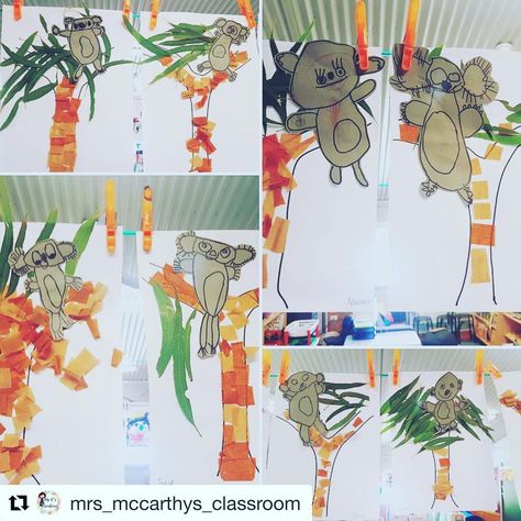 I just adore @mrs_mccarthys_classroom students’ koala artwork 😍 I particularly love the combination of the students sketch with a bit of collage. This would make a great addition to an Australian Animal unit, to support the reading of Koala Lou or as a narrative writing prompt... really the uses are endless. Check out Mrs McCarthy’s feed to find out how she used them ☺️ Happy Friday peeps xx #fridaysfeatureteacher #ridgydidgeresources #australianartwork #artinspiration Koala Artwork, Narrative Writing Prompts, Classroom Art, Australian Bush, Theme Activity, Australian Curriculum, Narrative Writing, Animal Activities, Writing Prompt