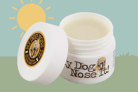 Dog Sunscreen, Organic Sunscreen, Sunscreen Stick, Dog Grooming Supplies, Dog Nose, Dog Information, Play Day, Dog Nutrition, Sunscreen Moisturizer