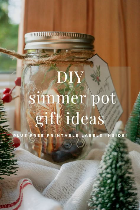 Summer Pot Gift Ideas, Diy Summer Pot Gift, Mason Jar Simmer Pot, Winter Simmer Pot Gift, Salt Gifts Ideas, Mason Jar Simmer Pot Gift, Holiday Summer Pot Gift, Simmerpot Christmas Gift, Summer Pot Gift