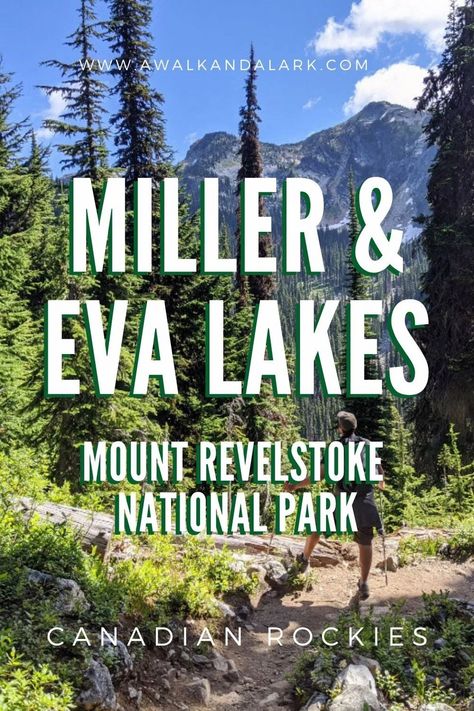 Mount Revelstoke National Park, Vancouver Travel Guide, National Park Hikes, Montreal Travel, Alberta Travel, Vancouver Travel, Canada Photography, Canada Travel Guide, Canadian Travel