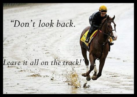 Love this Horse Racing Quotes, Horse Puns, Inspirational Horse Quotes, Racing Quotes, Horse Info, Equestrian Art, Race Horses, Horse Quotes, Funny Horse