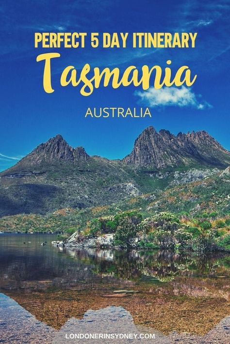 5 day Tasmania itinerary for the first timer. Travel to Tasmania in Australia and discover some of the best hikes in Australia, best beaches and so much more! Australia Travel Itinerary, Tasmania Itinerary, Tasmania Road Trip, Scuba Diving Australia, Tasmania Travel, Cradle Mountain, Australia Itinerary, Australia Backpacking, Australian Capital Territory