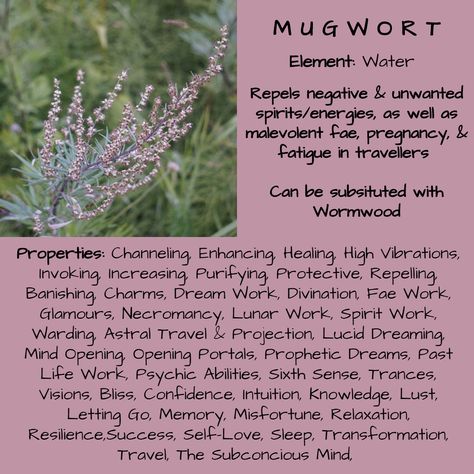 Pinterest: @Kekedanae20 Herbs Magical Properties, Herb Magical Properties, Mugwort Uses, Herbs Properties, Mugwort Witchcraft Uses, Damiana Magical Properties, Lemongrass Magical Properties, Mugwort Witchcraft, Herb Properties