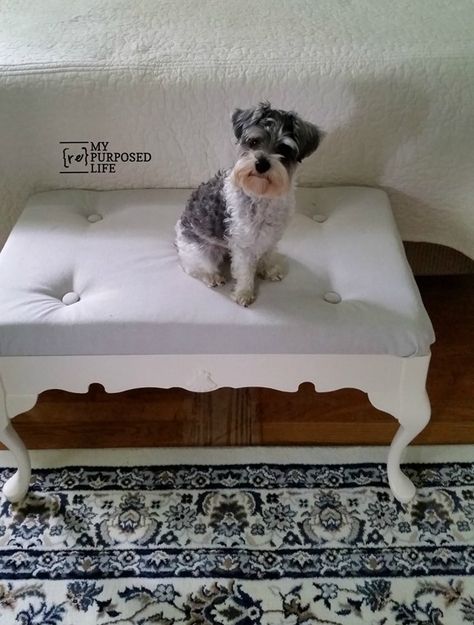 My Repurposed Life is my name, repurposing furniture is my game. Sometimes I even re-do a re-do. This is one of those projects. After years of having this end of bed bench in the bedroom, it was time for an update. Using a coffee table as a bench for the bedroom is great for putting on shoes and/or helping the pets get off and on the bed. Complete tutorial to make your own. Easy Furniture Makeover, Thrift Store Diy Projects, Diy Furniture Makeover Ideas, Old Coffee Tables, Thrift Store Diy, Thrift Store Decor, Upcycle Diy, Diy Furniture Makeover, Coffee Table Bench