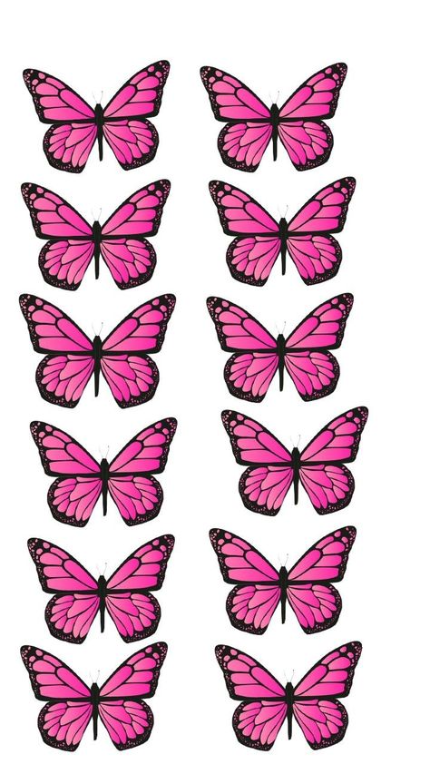 12 mariposas