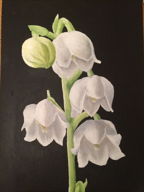 Lily Of The Valley Drawing, Bell Orchid, Lily Valley, Convallaria Majalis, Lilies Of The Valley, Drawing Canvas, Acrylic Painting Inspiration, Flower Coasters, Flower Acrylic