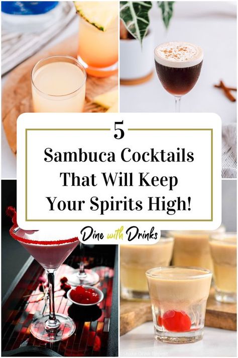 Sambuca Recipes, Sambuca Cocktails, Sambuca Drinks, Unique Cocktail Recipes, Amazing Drinks, New Drink, Pink Cocktails, Shakes Drinks, Hot Toddy