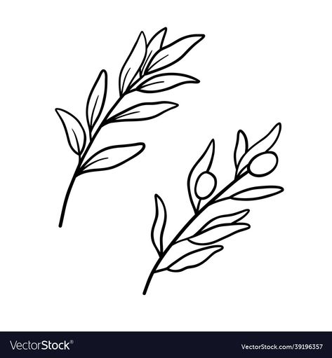 Leaf Line Art Tattoo, Olive Branch Tattoo, Branch Drawing, Poster Graphics, Branch Tattoo, Leaf Outline, Fun Money, Line Art Drawing, Outline Illustration