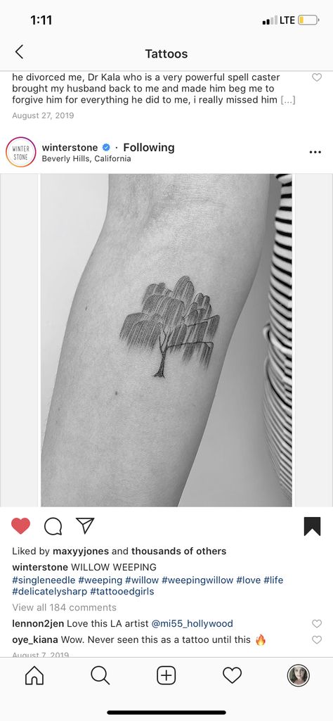 Minimalist Willow Tree Tattoo, Weeping Willow Tattoo, Willow Tattoo, Earthy Tattoos, Willow Tree Tattoos, Weeping Willow, Stick And Poke, Piercing Ideas, Tree Tattoo